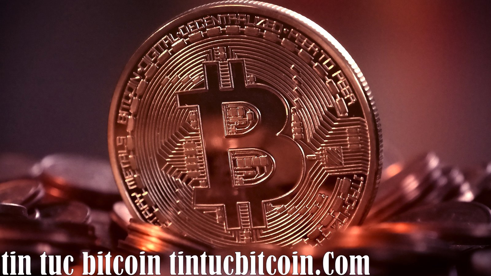 tin tuc bitcoin tintucbitcoin.Com