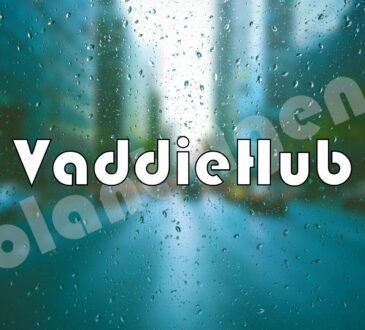 VaddieHub