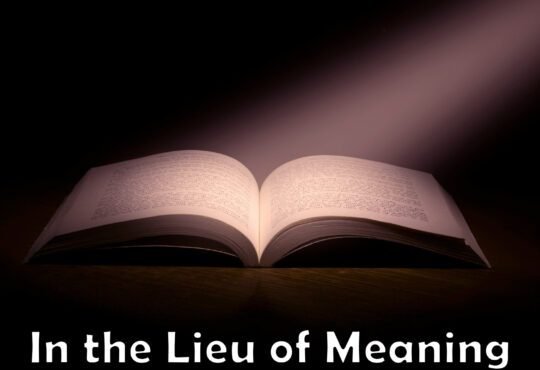 In the Lieu of Meaning