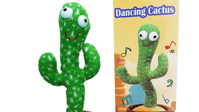 Talking Cactus Toy