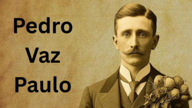 Pedro Vaz Paulo
