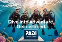 PADI Certifications